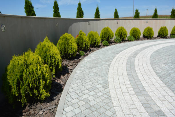 Best Best Driveway Pavers  in Whitehall, MI